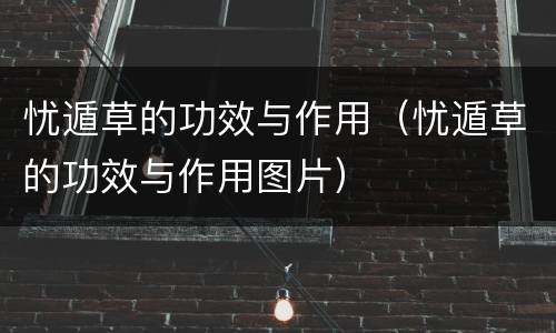 忧遁草的功效与作用（忧遁草的功效与作用图片）