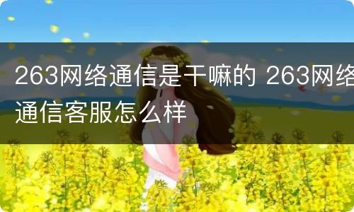 263网络通信是干嘛的 263网络通信客服怎么样