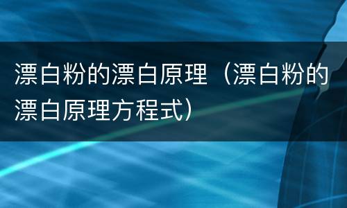 漂白粉的漂白原理（漂白粉的漂白原理方程式）