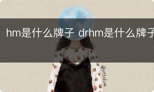 hm是什么牌子 drhm是什么牌子