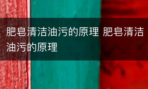 肥皂清洁油污的原理 肥皂清洁油污的原理