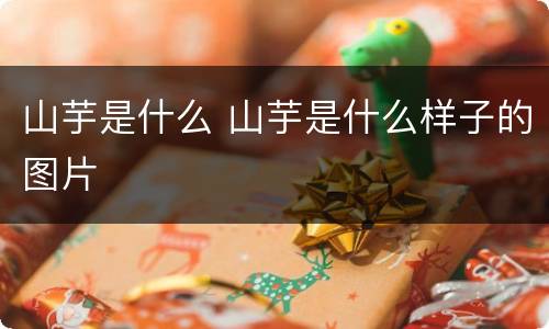 山芋是什么 山芋是什么样子的图片