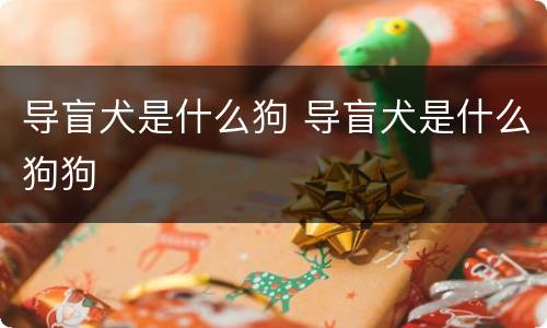 导盲犬是什么狗 导盲犬是什么狗狗