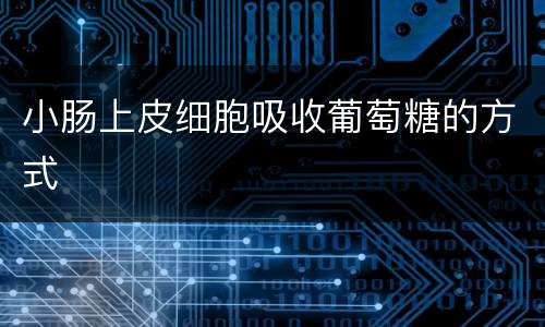 小肠上皮细胞吸收葡萄糖的方式
