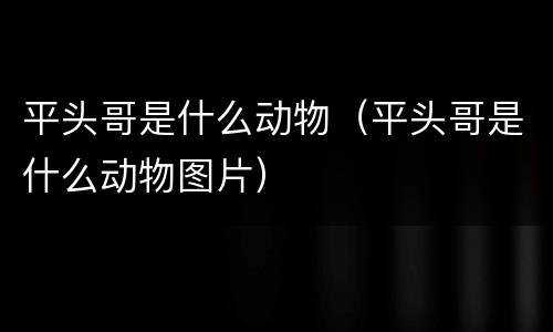 平头哥是什么动物（平头哥是什么动物图片）