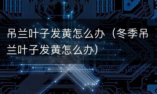 吊兰叶子发黄怎么办（冬季吊兰叶子发黄怎么办）