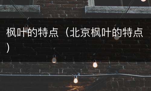 枫叶的特点（北京枫叶的特点）
