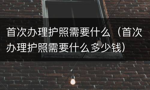 首次办理护照需要什么（首次办理护照需要什么多少钱）