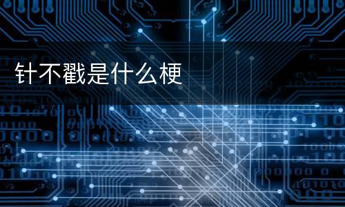 针不戳是什么梗