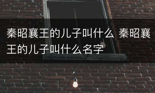 秦昭襄王的儿子叫什么 秦昭襄王的儿子叫什么名字