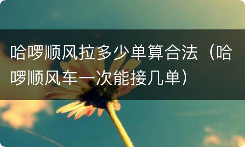哈啰顺风拉多少单算合法（哈啰顺风车一次能接几单）