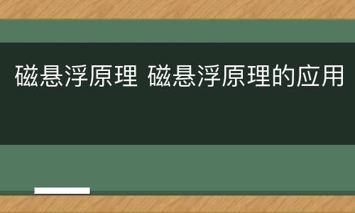 磁悬浮原理 磁悬浮原理的应用