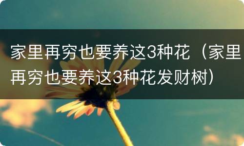 家里再穷也要养这3种花（家里再穷也要养这3种花发财树）