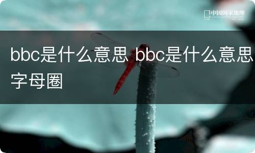 bbc是什么意思 bbc是什么意思字母圈