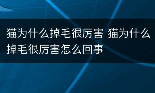 猫为什么掉毛很厉害 猫为什么掉毛很厉害怎么回事
