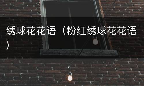 绣球花花语（粉红绣球花花语）