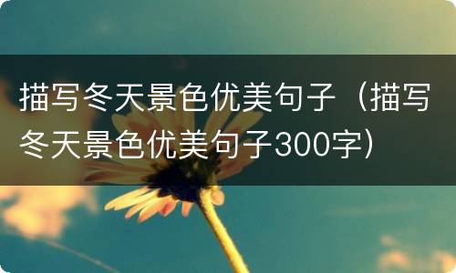 描写冬天景色优美句子（描写冬天景色优美句子300字）