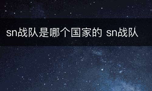 sn战队是哪个国家的 sn战队