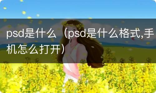 psd是什么（psd是什么格式,手机怎么打开）