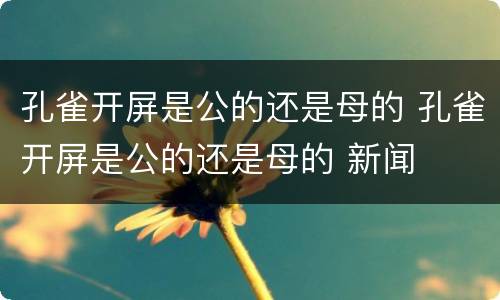 孔雀开屏是公的还是母的 孔雀开屏是公的还是母的 新闻