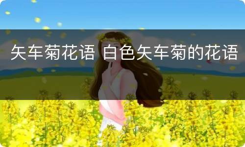 矢车菊花语 白色矢车菊的花语