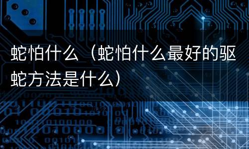 蛇怕什么（蛇怕什么最好的驱蛇方法是什么）