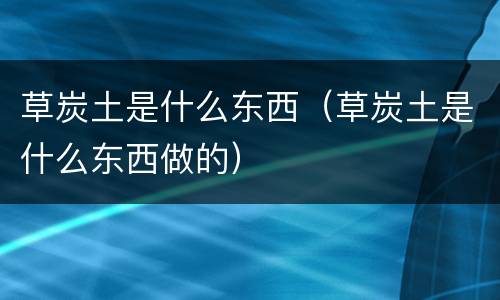 草炭土是什么东西（草炭土是什么东西做的）