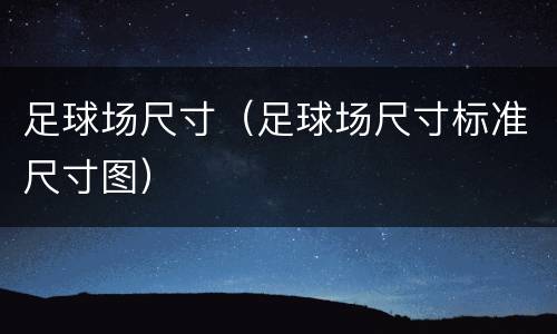 足球场尺寸（足球场尺寸标准尺寸图）
