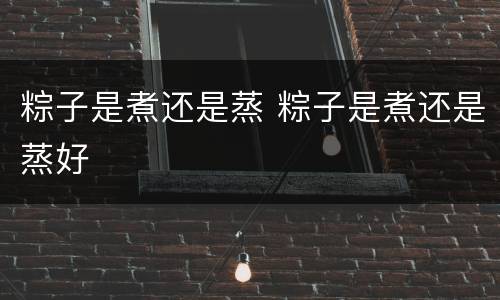 粽子是煮还是蒸 粽子是煮还是蒸好