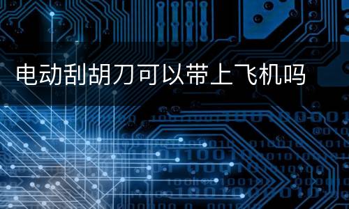 电动刮胡刀可以带上飞机吗