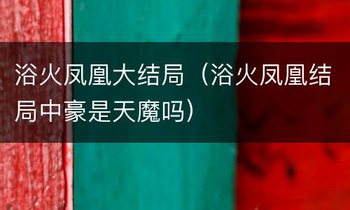 浴火凤凰大结局（浴火凤凰结局中豪是天魔吗）