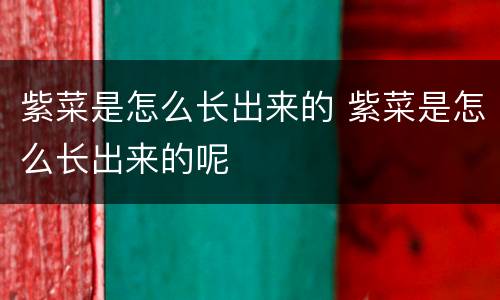 紫菜是怎么长出来的 紫菜是怎么长出来的呢