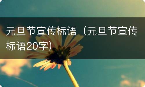 元旦节宣传标语（元旦节宣传标语20字）