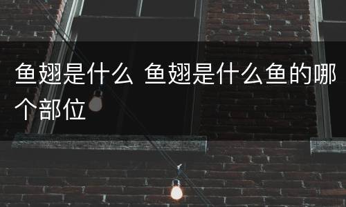 鱼翅是什么 鱼翅是什么鱼的哪个部位