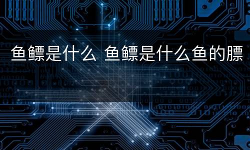 鱼鳔是什么 鱼鳔是什么鱼的膘