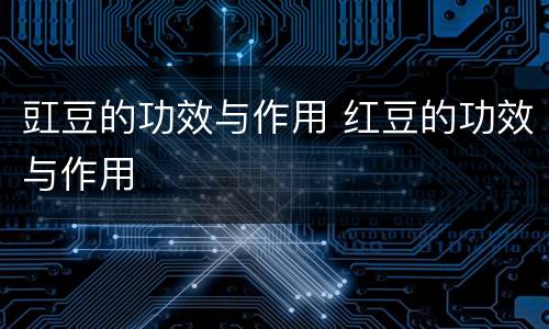 豇豆的功效与作用 红豆的功效与作用