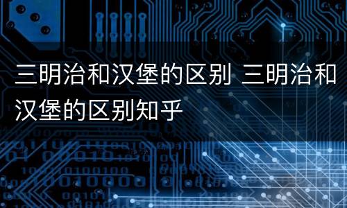 三明治和汉堡的区别 三明治和汉堡的区别知乎