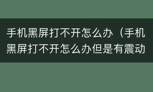 手机黑屏打不开怎么办（手机黑屏打不开怎么办但是有震动）