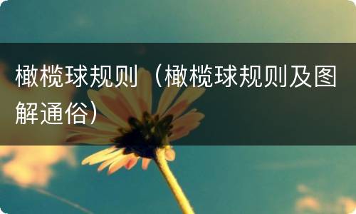 橄榄球规则（橄榄球规则及图解通俗）