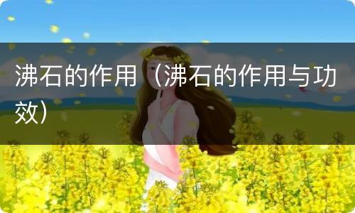 沸石的作用（沸石的作用与功效）
