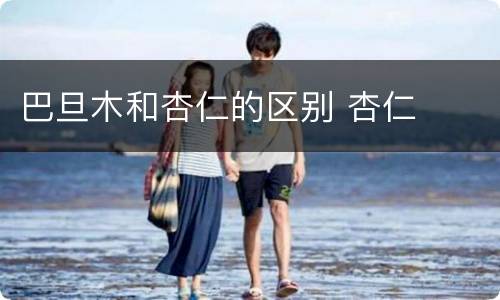巴旦木和杏仁的区别 杏仁
