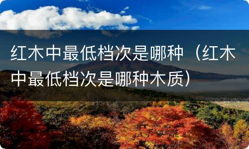 红木中最低档次是哪种（红木中最低档次是哪种木质）