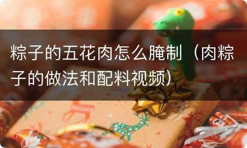 粽子的五花肉怎么腌制（肉粽子的做法和配料视频）