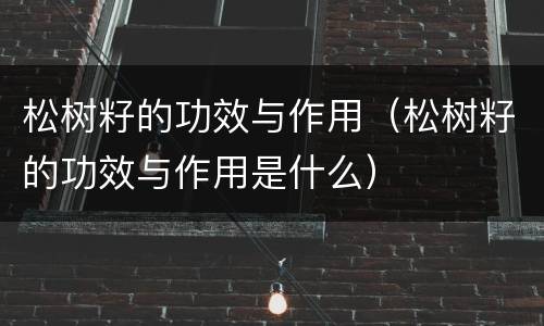 松树籽的功效与作用（松树籽的功效与作用是什么）