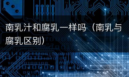 南乳汁和腐乳一样吗（南乳与腐乳区别）