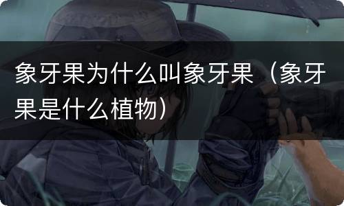象牙果为什么叫象牙果（象牙果是什么植物）