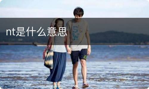 nt是什么意思
