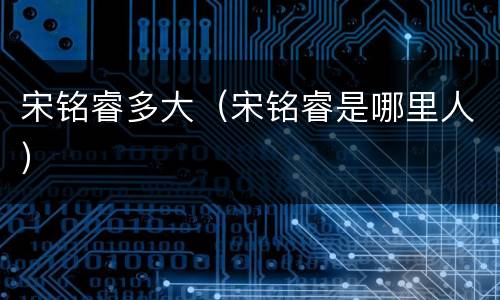 宋铭睿多大（宋铭睿是哪里人）