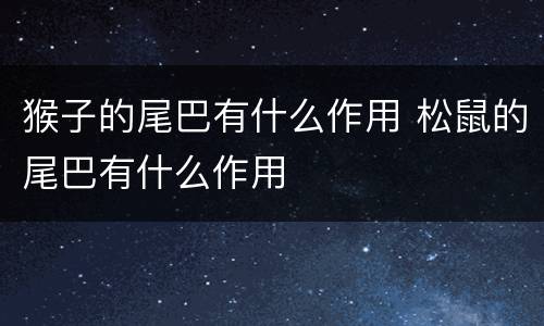 猴子的尾巴有什么作用 松鼠的尾巴有什么作用