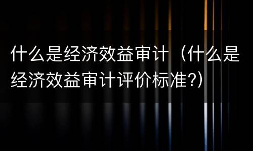 什么是经济效益审计（什么是经济效益审计评价标准?）